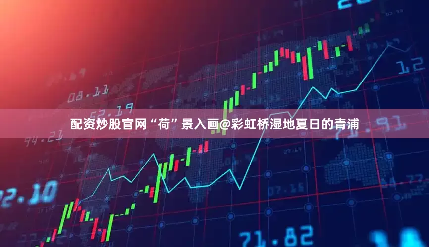 配资炒股官网“荷”景入画@彩虹桥湿地夏日的青浦