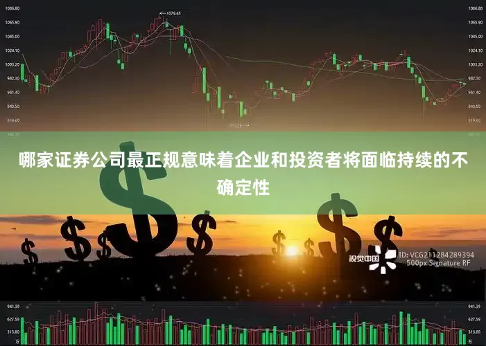 哪家证券公司最正规意味着企业和投资者将面临持续的不确定性