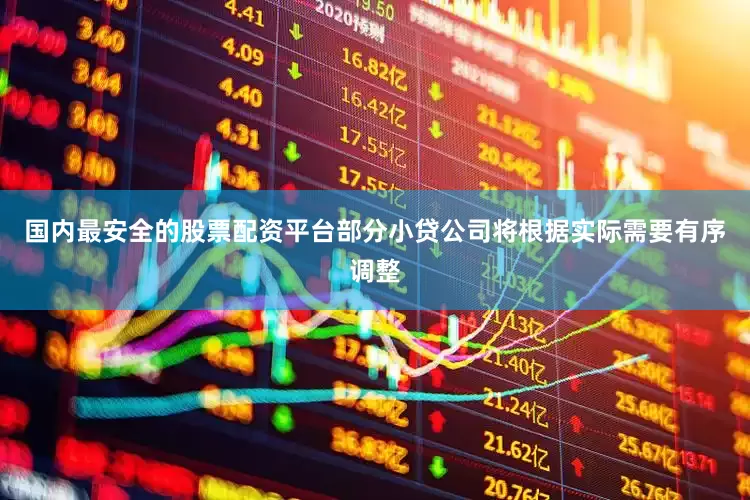 国内最安全的股票配资平台部分小贷公司将根据实际需要有序调整