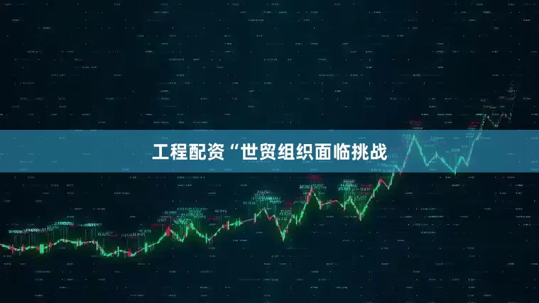 工程配资　　“世贸组织面临挑战
